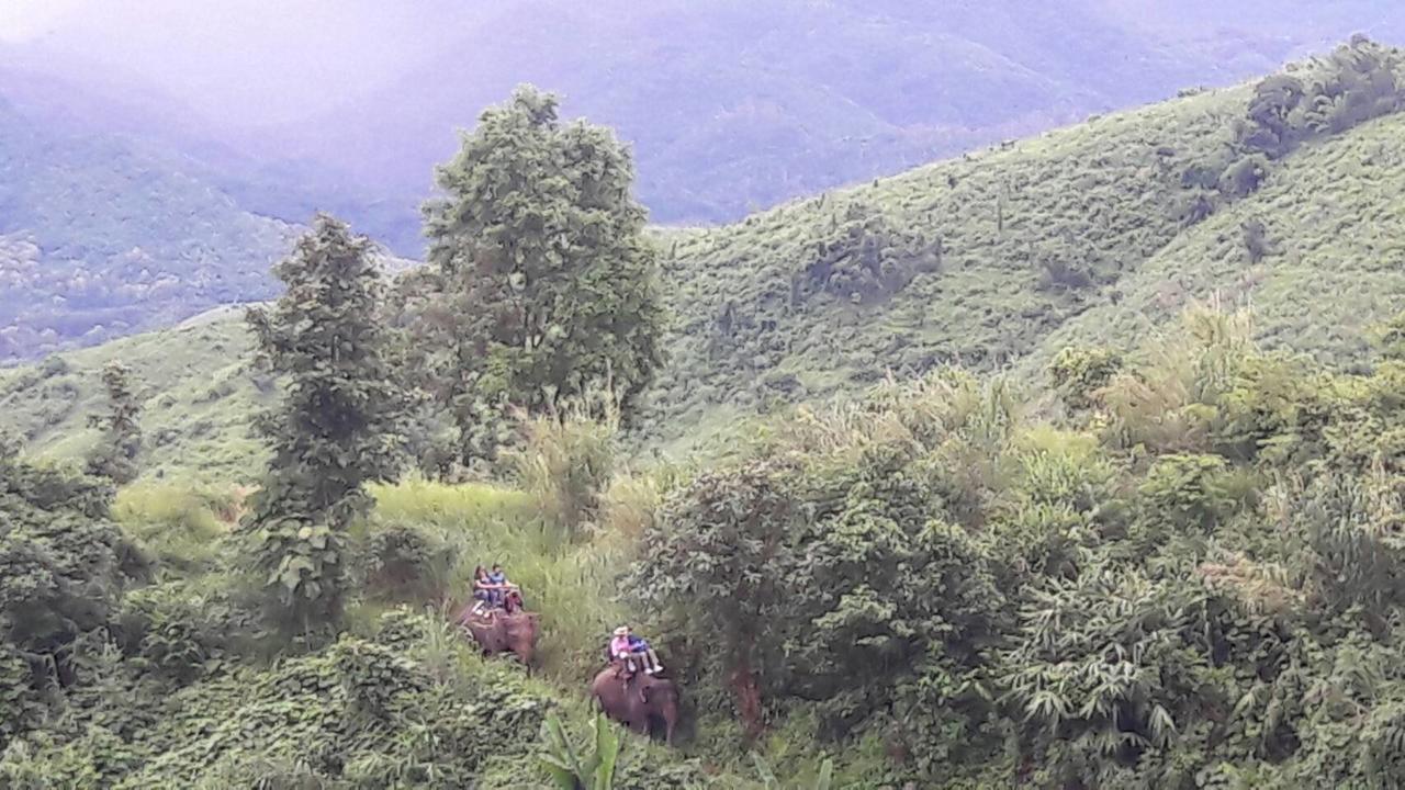 شقة Hill Tribe Art House تْشينيغْرايْ المظهر الخارجي الصورة